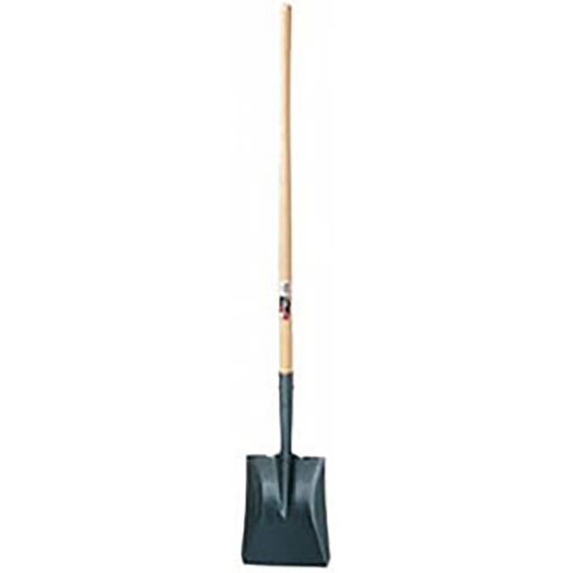 jackson-1554500 image