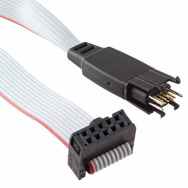 segger-microcontroller-systems-8-06-05-10-pin-needle-adapter image